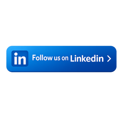 LinkedIn Follow Button with Brand Colors