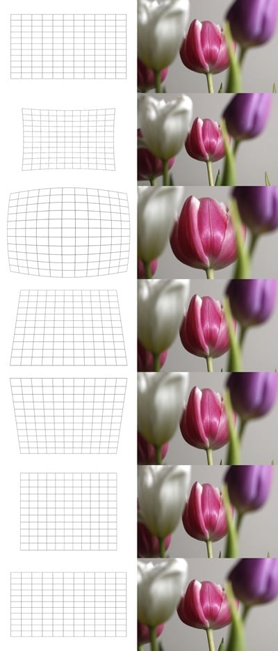 Distortion Trade-offs in Lenses