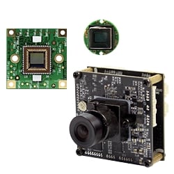 Board Level Cameras