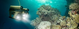 Underwater Robotic Vehicles