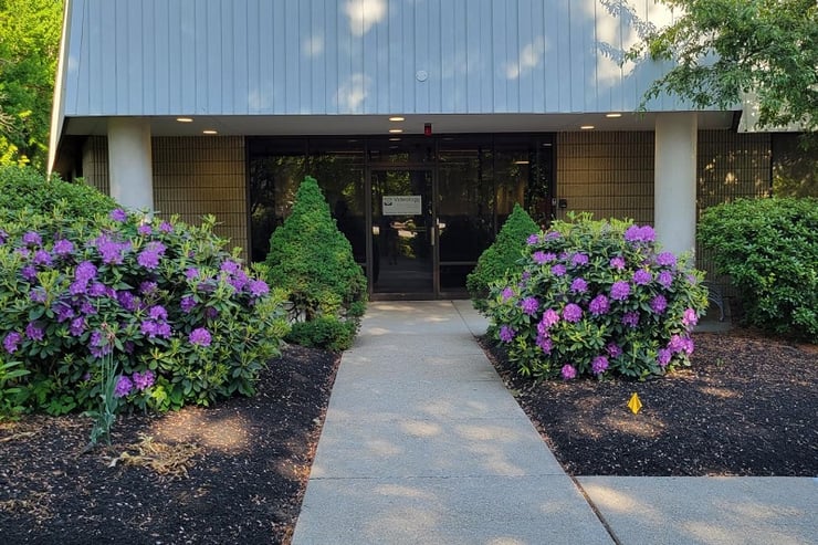 Videology Front Entry Way with Purple Flowers 