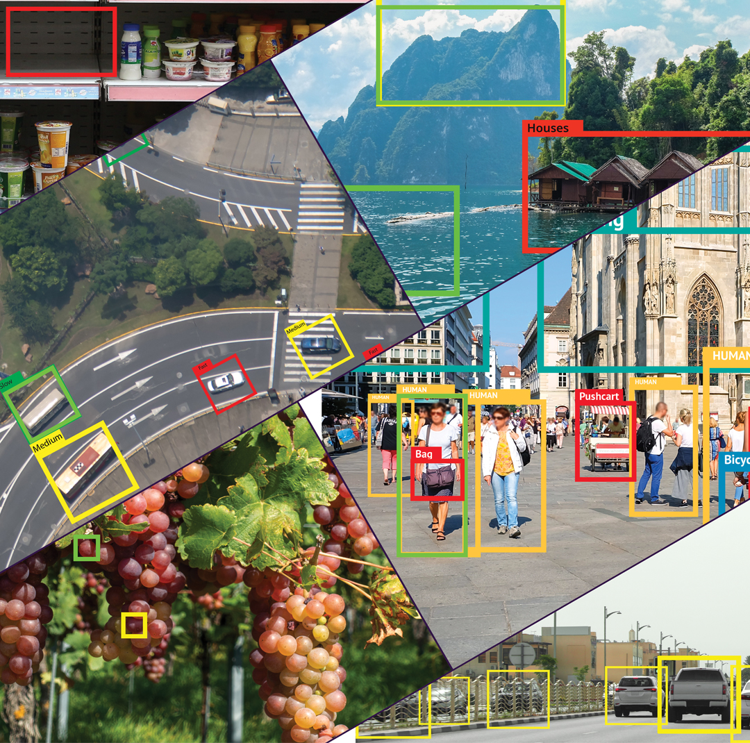 Seeing eye to AI: The cameras